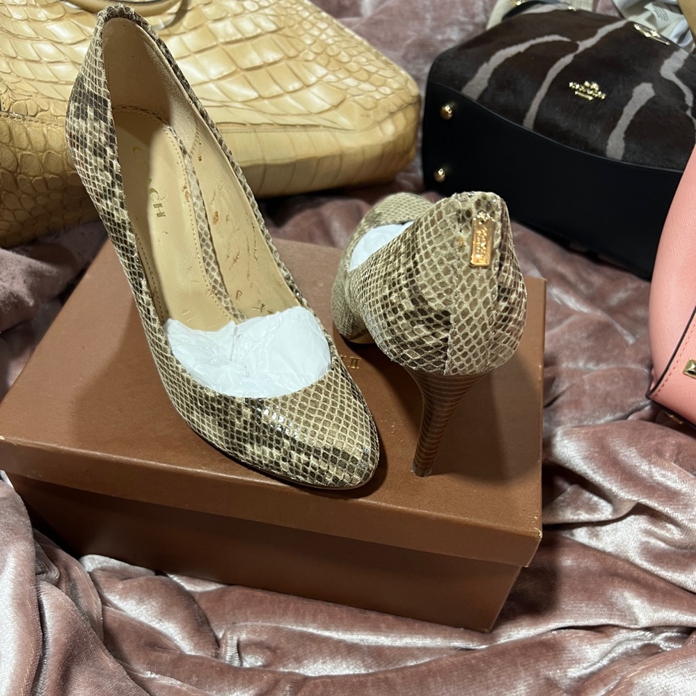 Coach shoes.